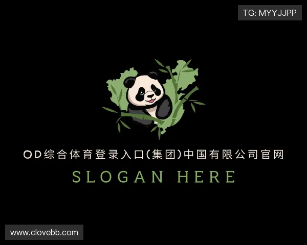 了解OD综合体育登录入口